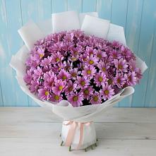 Букет цветов из:  Хризантемы #REPLACE_PRED# Ольховке