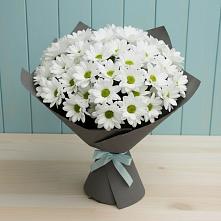 Букет цветов из:  Хризантемы #REPLACE_PRED# Ольховке