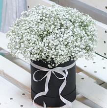 Цветочная композиция из Гипсофила в шляпной коробке #REPLACE_PRED# Ольховке