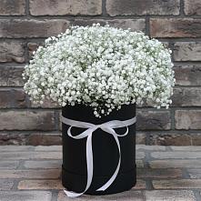 Цветочная композиция из Гипсофила в шляпной коробке в Ольховке