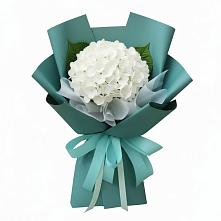 Букет цветов из:  Гортензия #REPLACE_PRED# Ольховке